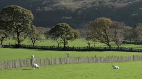 Welsh countryside Stock Footage 8975559