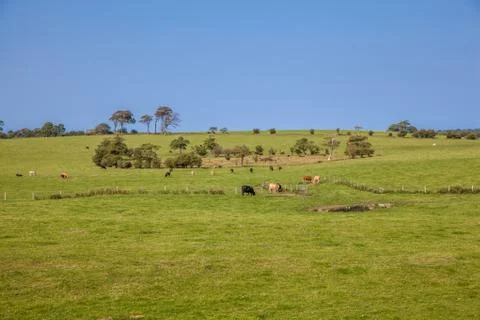 Welsh countryside Stock Photos