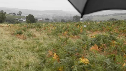 Welsh countryside in the rain Stock Footage 117553974