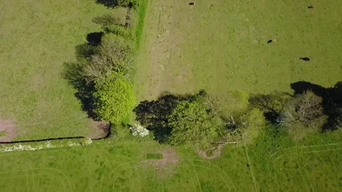 Welsh fields looking up to Snowdonia Stock Footage 199425049