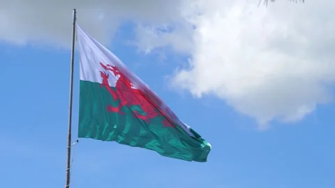 Welsh flag, also known as Baner Cymru or Y Ddraig Goch, has a red dragon passant Stock Footage 278820848