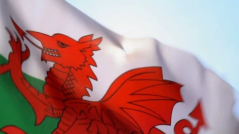 Welsh Flag Flapping Stock Footage 118963839