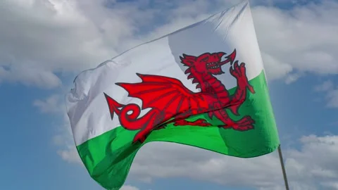 Welsh Flag flying against  a blue sky Stock Footage 171074007