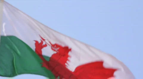 Welsh flag 스톡 동영상 730638