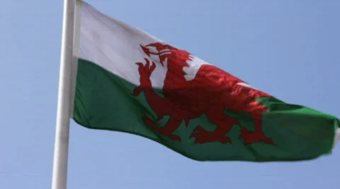 Welsh flag Video stock 730648