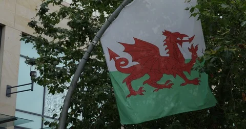 Welsh flag red dragon blowing in the wind in Cardiff city centre, South Wales Stock Footage 114166964