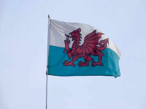 Welsh Flag in Slow Motion Stock Footage 80391015