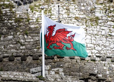 Welsh  flag  St  davids Foto stock