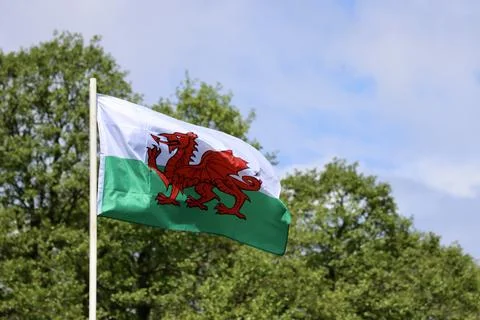 Welsh flag in wind Stock Photos