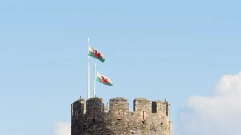 Welsh flags flying at Conwy Castle Conwy Gwynedd Wales Stock Footage 93879518
