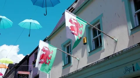 Welsh flags Stock Footage 186756118