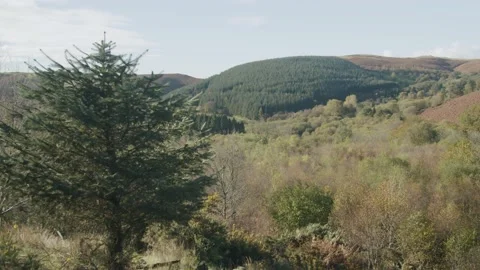 Welsh landscape Stock Footage 203903802