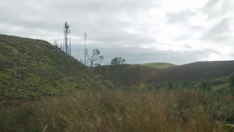 Welsh landscape Stock Footage 203905802