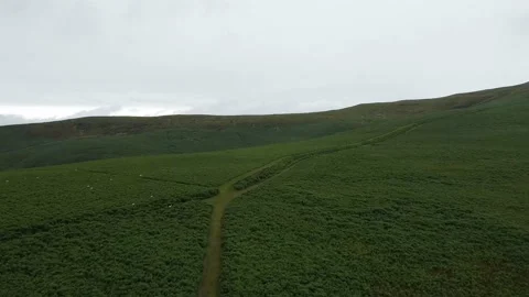 Welsh Mountain with sheep running 库存影片 136658586