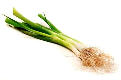 Welsh onion Stock Photos