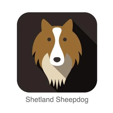 Welsh sheepdog face flat icon, dog series Stock Illustration