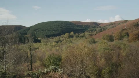 Welsh valley Stock Footage 203905486