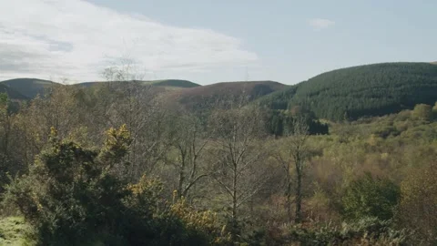 Welsh Valley Stock Footage 203905487