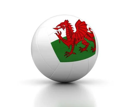 Welsh volleyball team Illustrazione stock