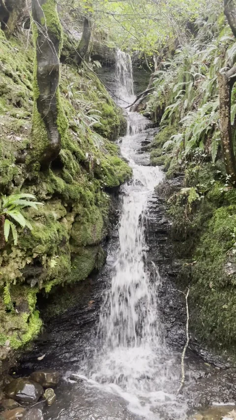 Welsh Waterfall Stock Footage 292508128