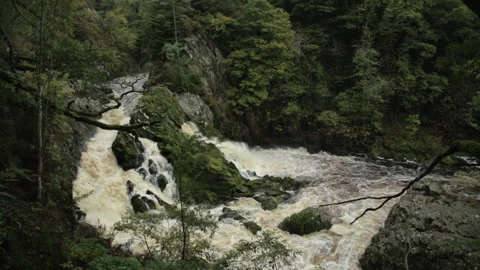 Welsh Waterfall in Forrest Vidéo 141521825