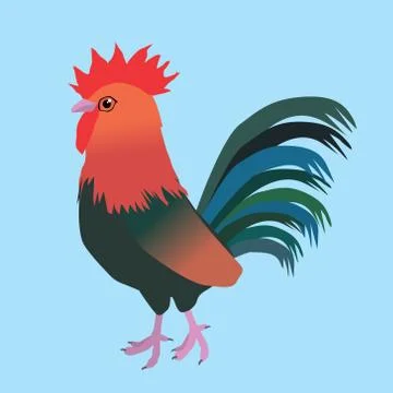 Welsumer rooster Illustrazione stock