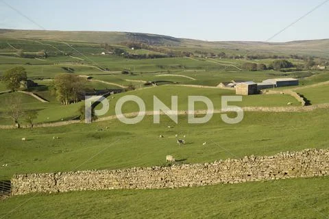 Wensleydale, north yorkshire, england Stock Photos