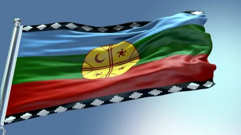 Wenufoye mapuche flag Vidéo 172591334