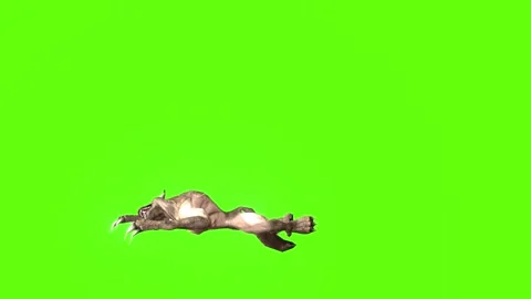 Werewolf Death Green screen animation 3D Rendering Stock Footage 277319107