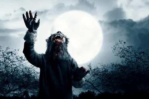 A werewolf with a full moon Stock Photos