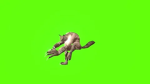 Werewolf getting attacked Green screen animation 3D Rendering Stock Footage 277319118