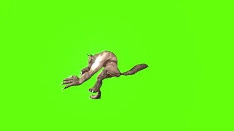 Werewolf getting attacked Green screen animation 3D Rendering Stock Footage 277319129