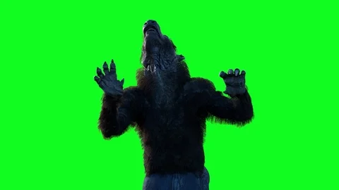 Werewolf on a green background 3D render Stock Footage 95200542