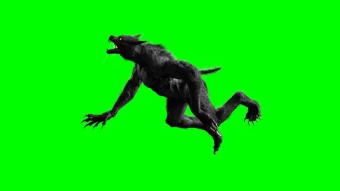 Werewolf on a green background 3D render Stockbeeldmateriaal 116520145