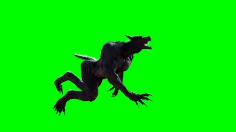 Werewolf on a green background 3D render Stockbeeldmateriaal 116521472