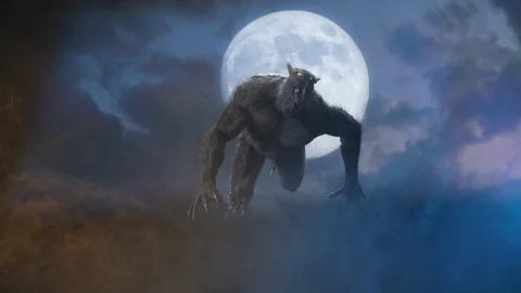 Werewolf on Halloween background 3D render Stock Footage 116523887