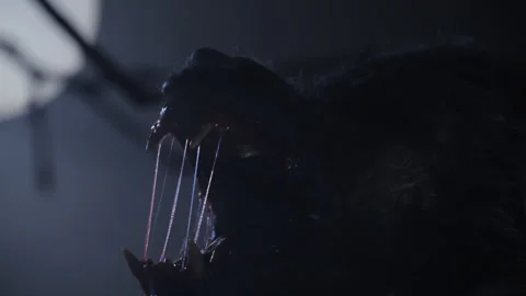 Werewolf Howling Stock Footage 332117085