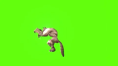 Werewolf idle Green screen animation 3D Rendering Stock Footage 277318167