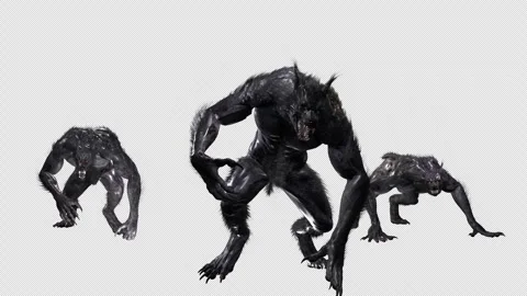 Werewolf Pack Attacks, Animation isolated on transparent background Stock Footage 346729654