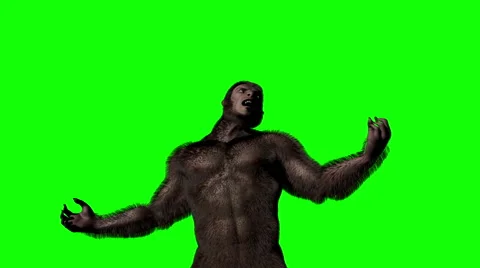 Werewolf Transformation 2 (Green Screen) Vidéo 54605591