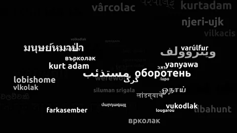 Werewolf Translated in 48 Worldwide Languages Endless Looping 3d Zooming Word Video stock 145202188