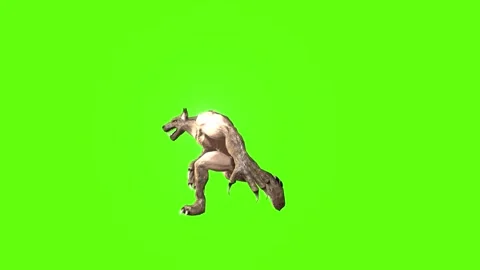 Werewolf walking Green screen animation 3D Rendering Stock Footage 277318080