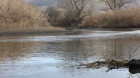 The Werra River between Thuringia and Hesse Stock Footage 145359333