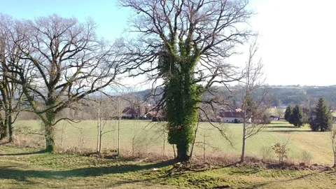 Wessobrunn 1 動画素材 168366695