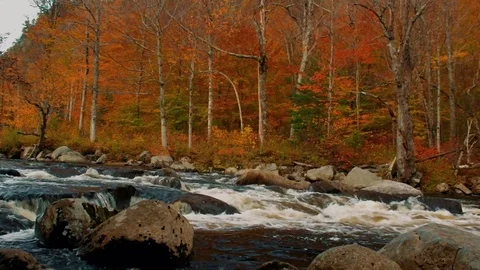West Branch Ausable River in the Adirondack Mountains Stock Footage 86570943
