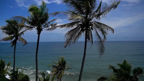 West coast of Kerala, India Stock Footage