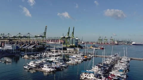 West Coast Park 4 Stock Footage 245534452