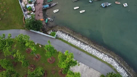 West Coast Park 8 Stock Footage 245534752