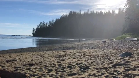 West Coast Trail beach Stock Footage 111053204