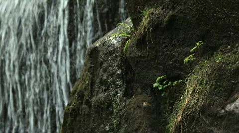 West Coast Waterfall Stock Footage 715796